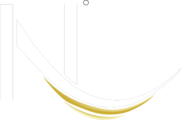 Nanoliss